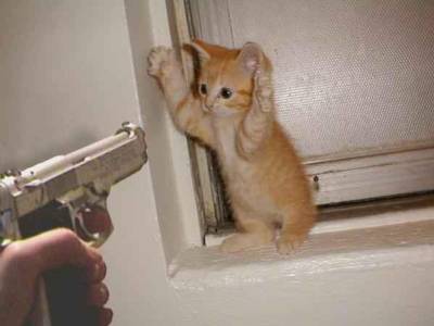 Ho les pattes